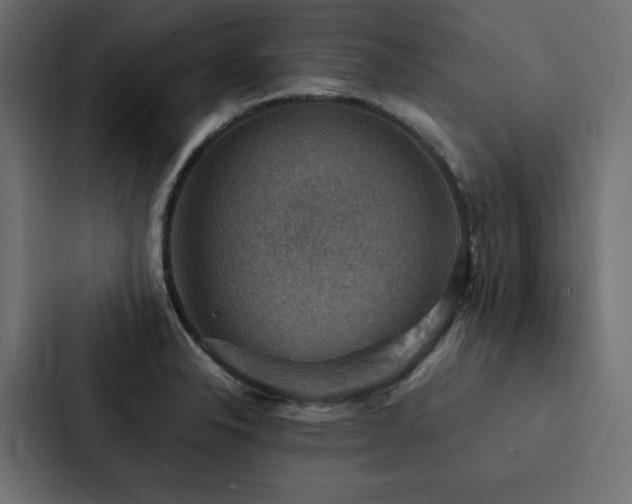 X0000088231326200705151445