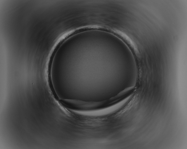 X0000088231327200705151445