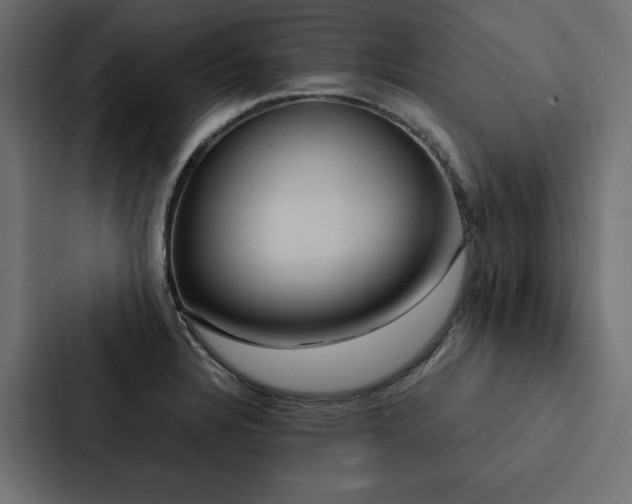 X0000088231328200705151445
