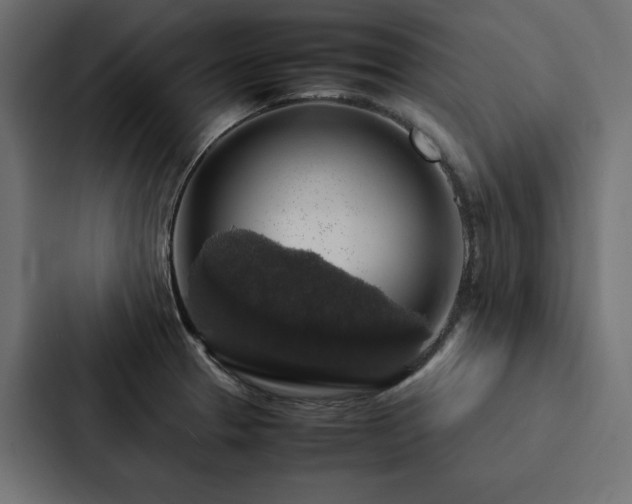 X0000088231329200705151445