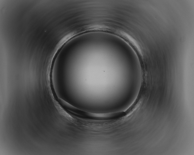 X0000088231330200705151445