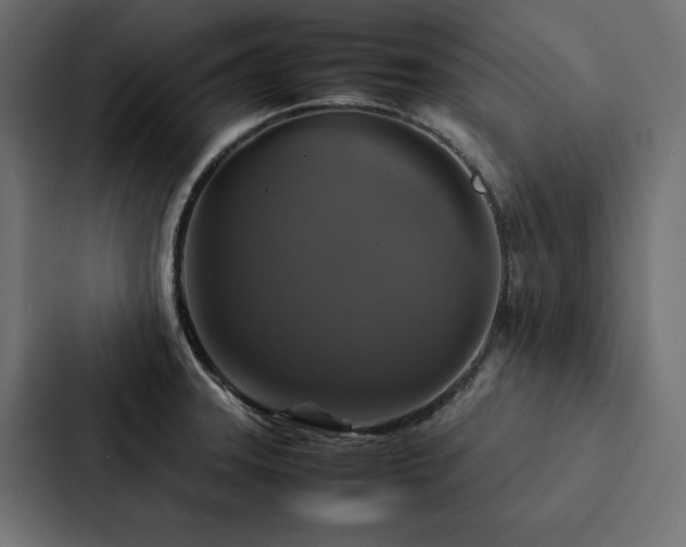 X0000088231331200705151445