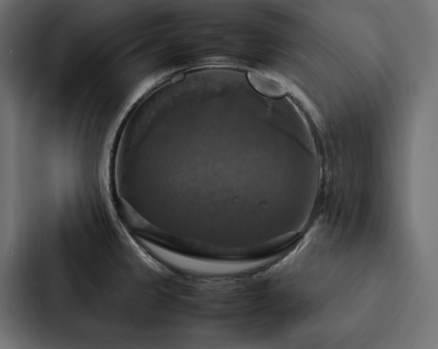 X0000088231333200705151445