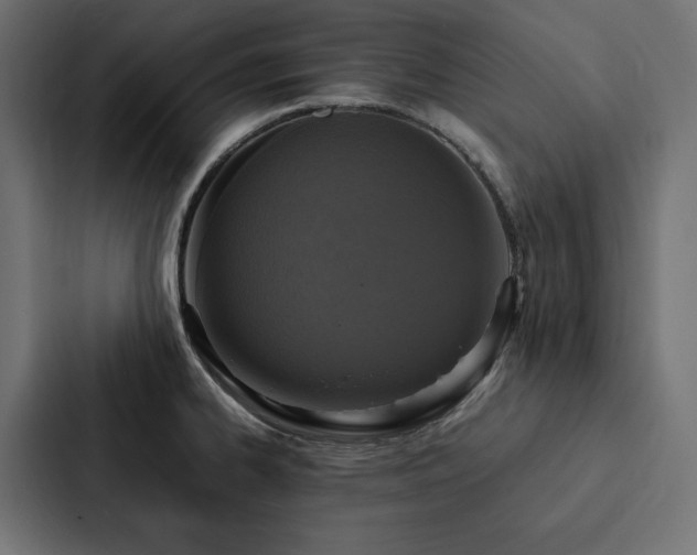 X0000088231334200705151445