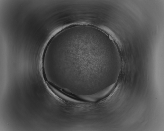 X0000088231335200705151445