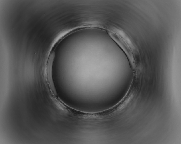 X0000088231336200705151445