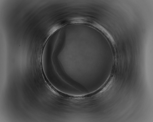 X0000088231337200705151445