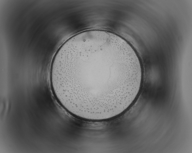 X0000088231338200705151445