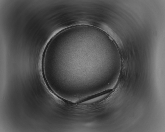 X0000088231339200705151445