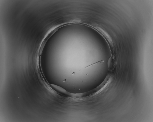 X0000088231340200705151445