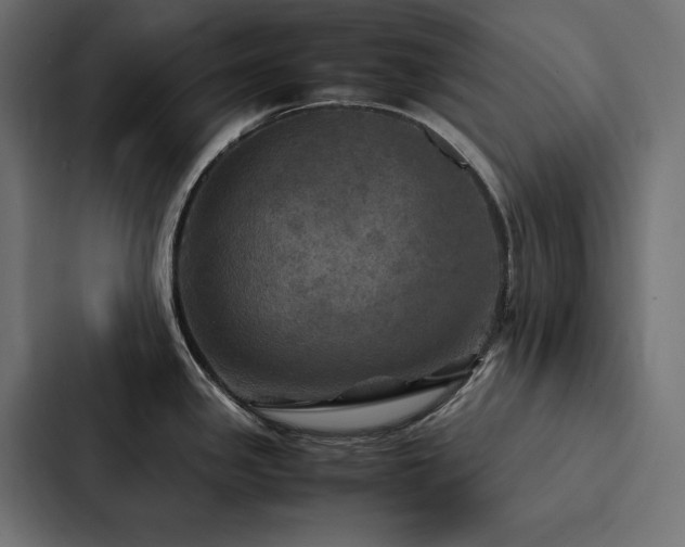 X0000088231341200705151445