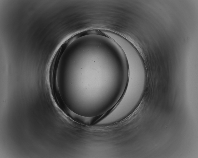 X0000088231342200705151445