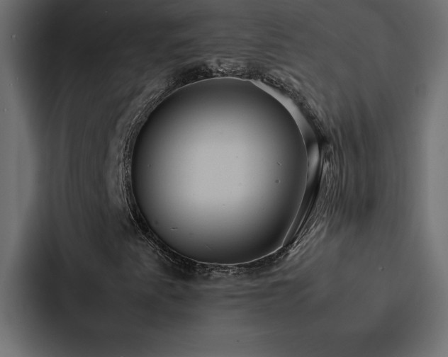 X0000088231345200705151445