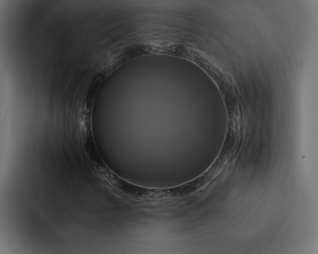 X0000088231346200705151444