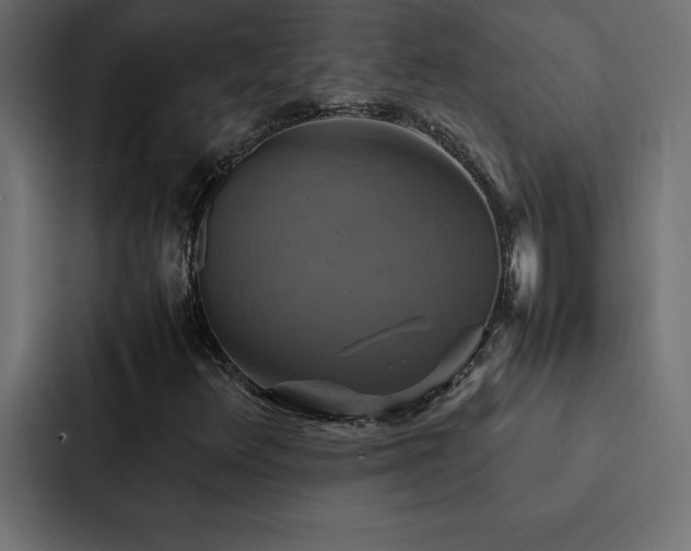 X0000088231348200705151444