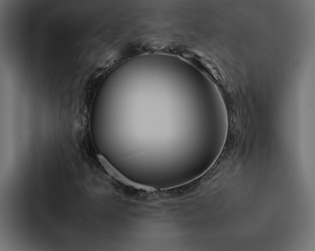 X0000088231349200705151444