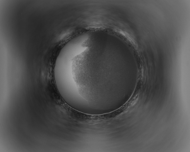 X0000088231350200705151444