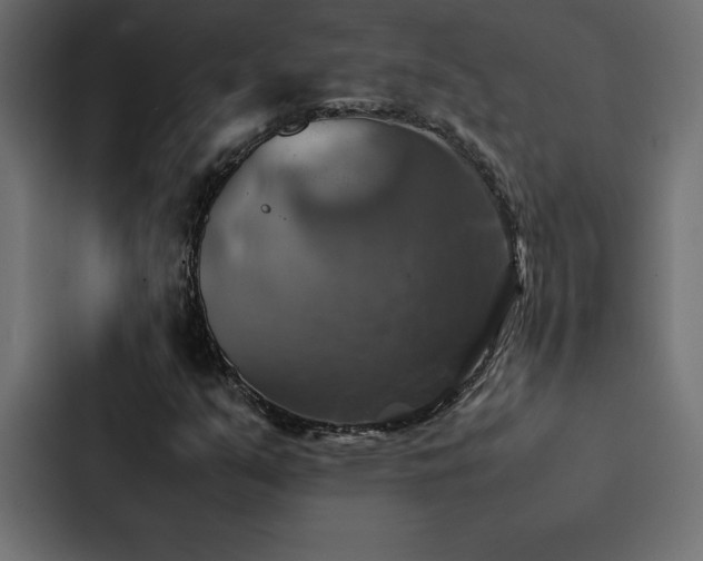 X0000088231351200705151444