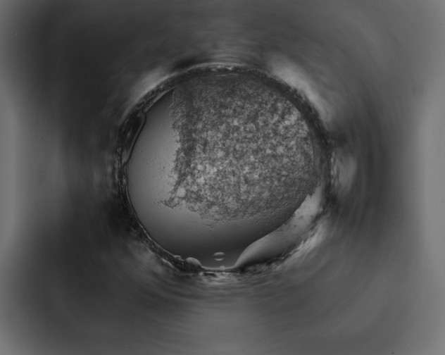 X0000088231352200705151444