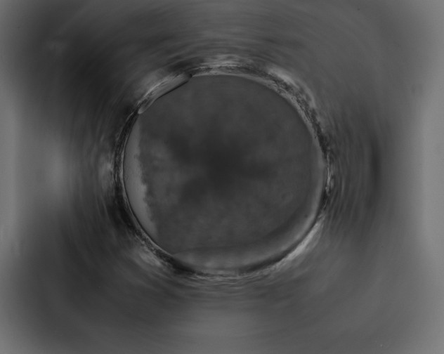 X0000088231353200705151444