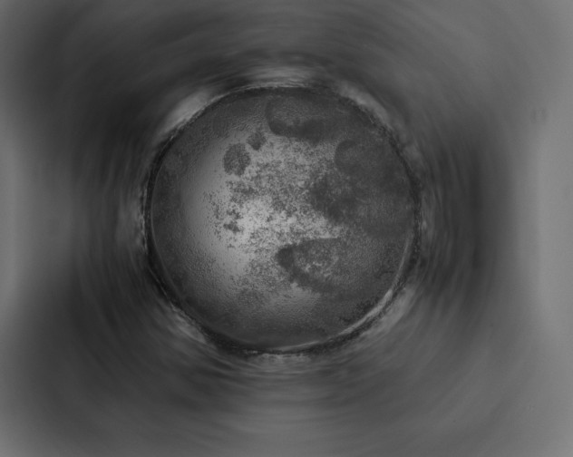X0000088231354200705151444