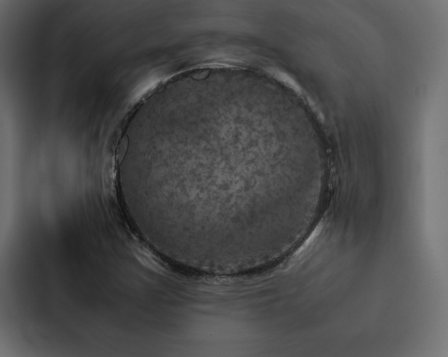 X0000088231355200705151444