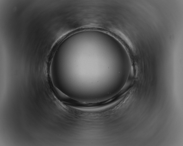 X0000088231356200705151444