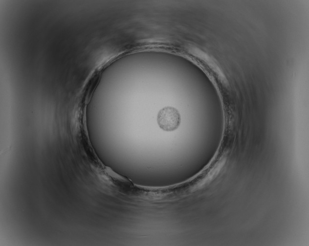 X0000088231357200705151444