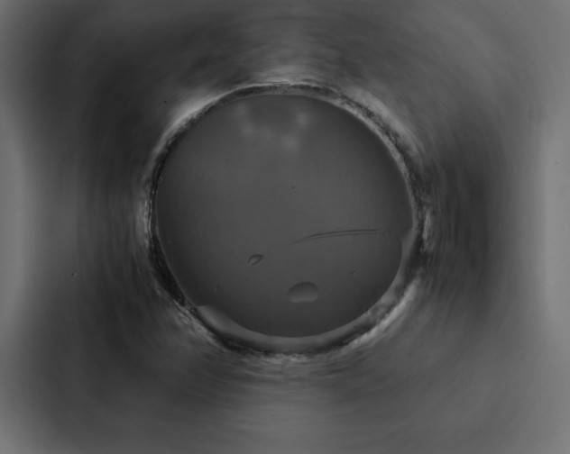 X0000088231358200705151444