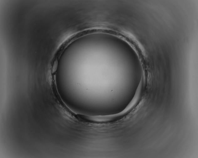 X0000088231360200705151444