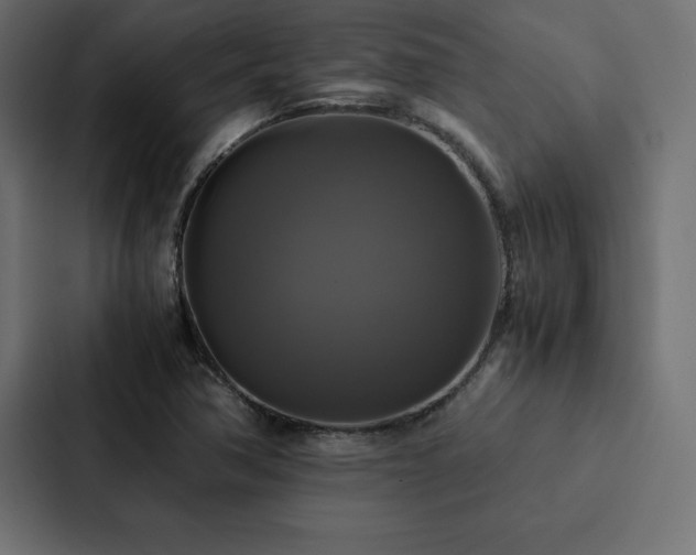 X0000088231362200705151444