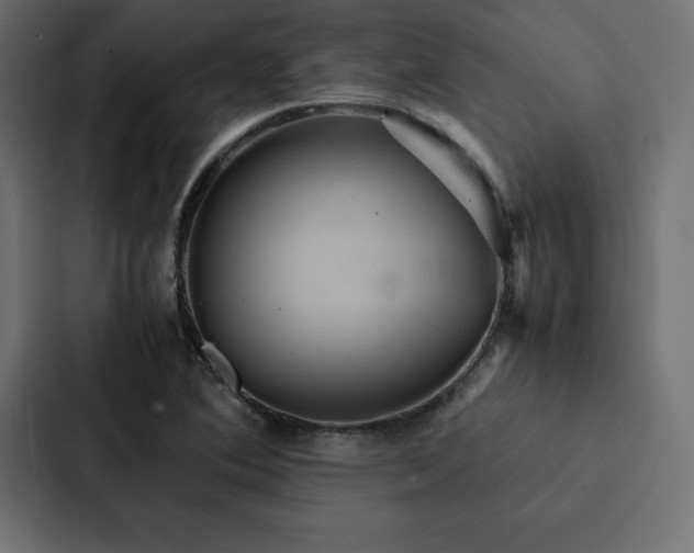 X0000088231364200705151444