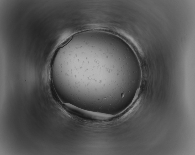 X0000088231365200705151444