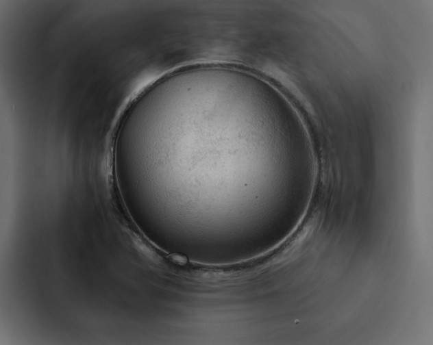 X0000088231366200705151444
