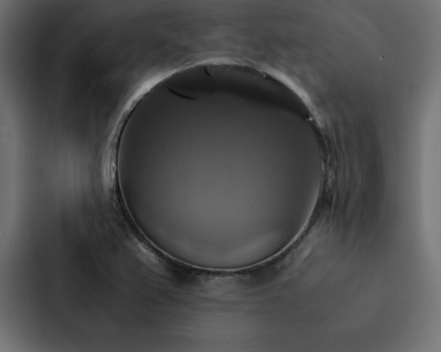 X0000088231367200705151444