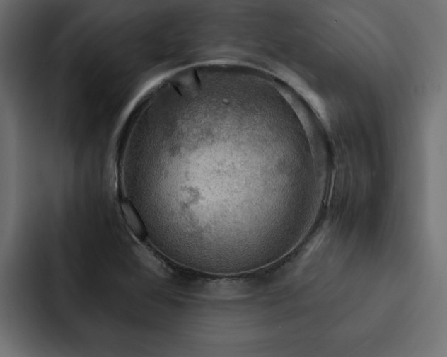 X0000088231368200705151444