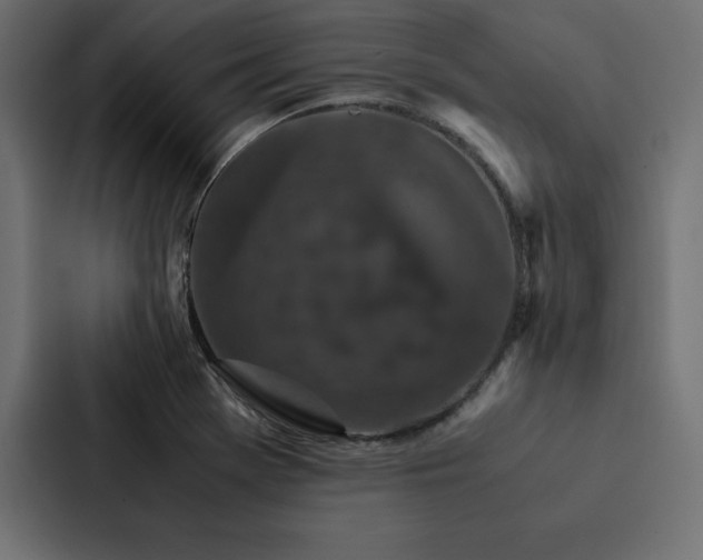 X0000088231369200705151444