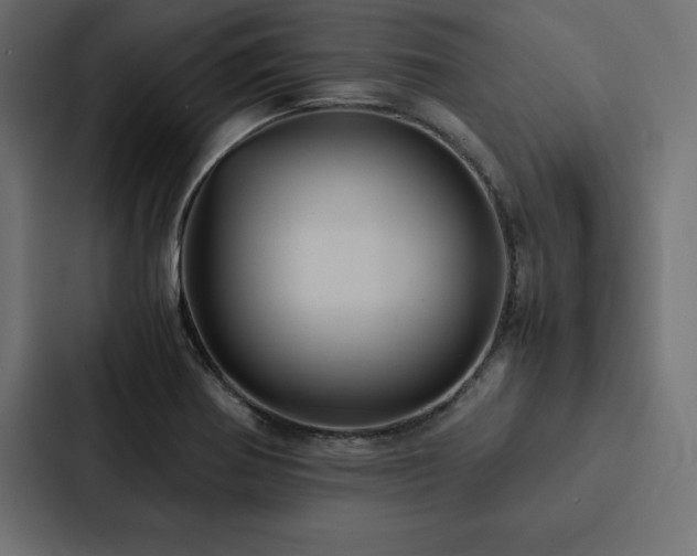 X0000088231370200705151444