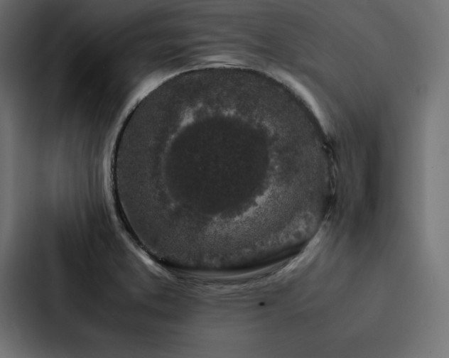 X0000088231373200705151444