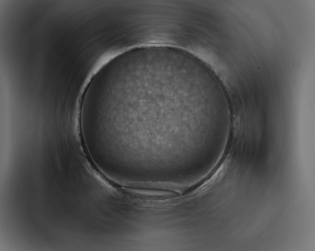 X0000088231374200705151444