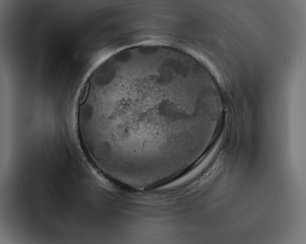 X0000088231375200705151444