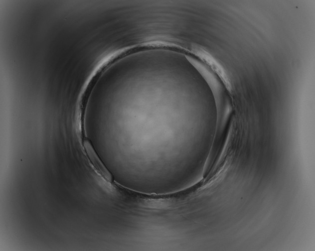 X0000088231376200705151444