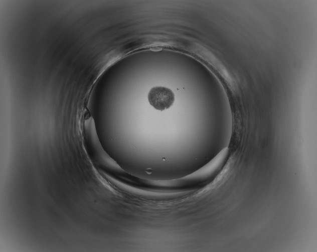 X0000088231377200705151444