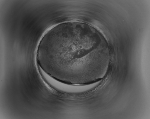 X0000088231379200705151444