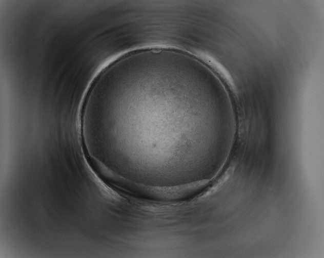 X0000088231380200705151444
