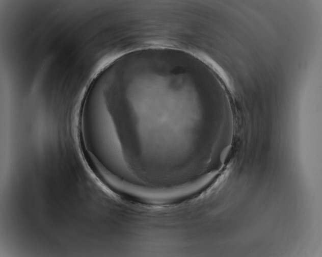 X0000088231381200705151444