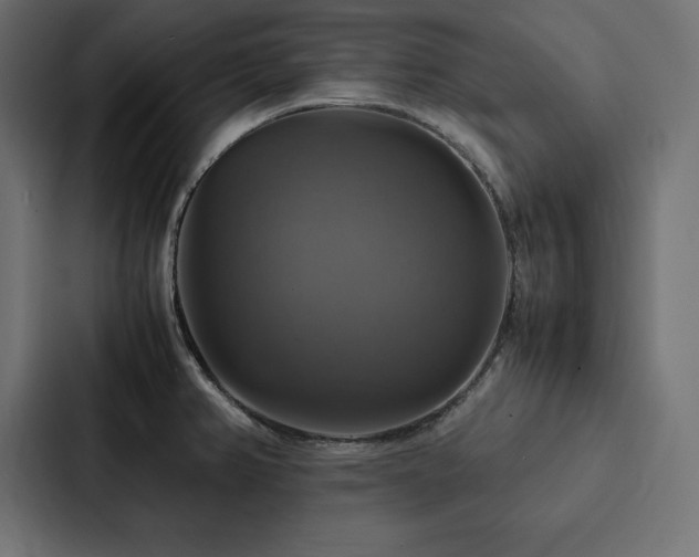 X0000088231382200705151444