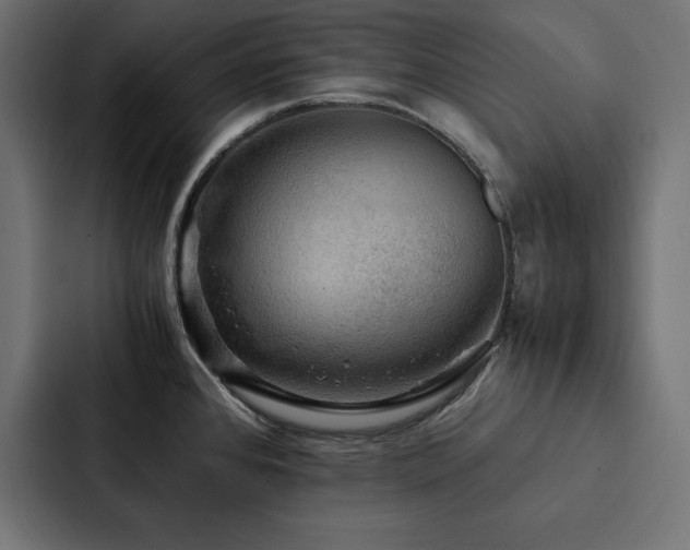X0000088231384200705151444