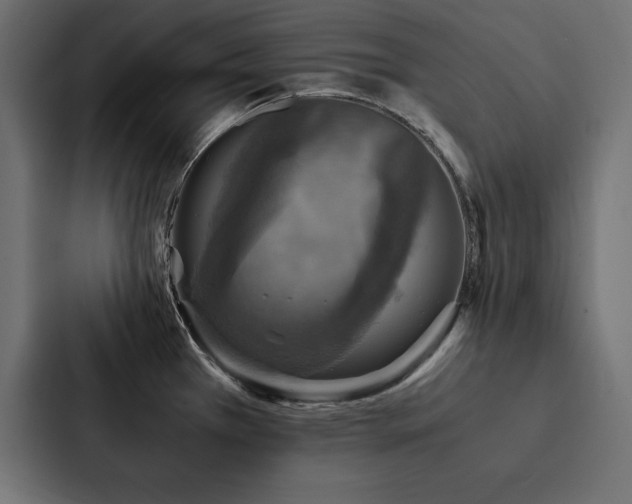 X0000088231385200705151444