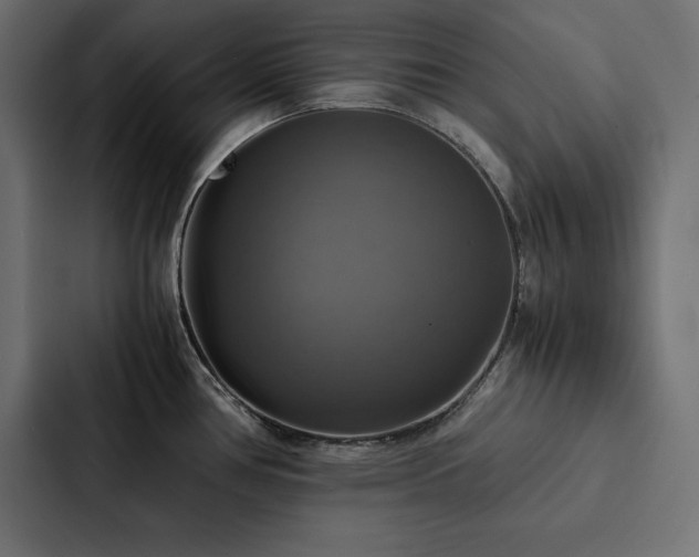 X0000088231386200705151444